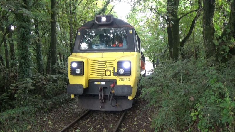 21. Exeter St Davids - Lostwithiel - Liskeard - Moorswater